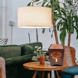 WKDEC2022HS03 Wallkriti Himalayan Salt lamp