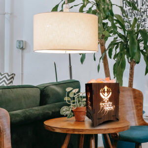 WKDEC2022HS05 Wallkriti Himalayan Salt lamp